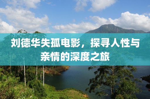 刘德华失孤电影，探寻人性与亲情的深度之旅