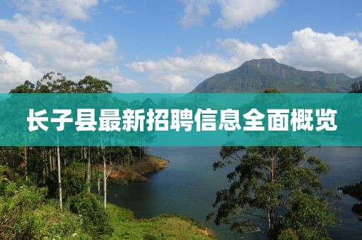 长子县最新招聘信息全面概览