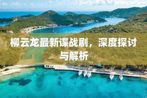 柳云龙最新谍战剧，深度探讨与解析