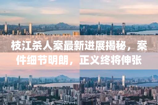 枝江杀人案最新进展揭秘，案件细节明朗，正义终将伸张