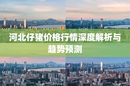 河北仔猪价格行情深度解析与趋势预测