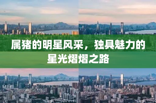 属猪的明星风采，独具魅力的星光熠熠之路