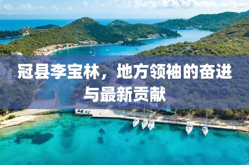 冠县李宝林，地方领袖的奋进与最新贡献