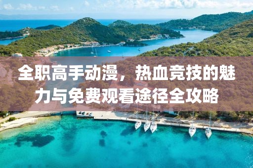 全职高手动漫，热血竞技的魅力与免费观看途径全攻略