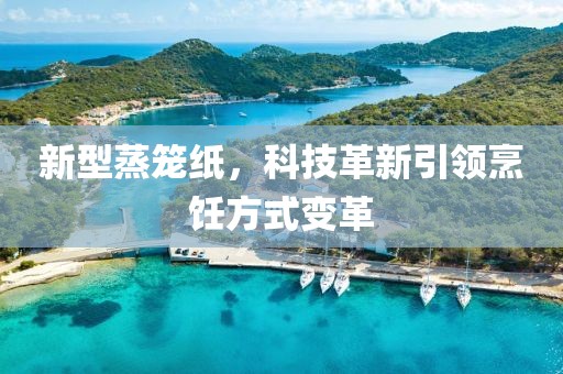新型蒸笼纸，科技革新引领烹饪方式变革
