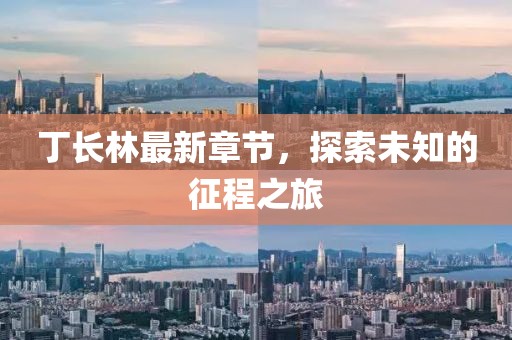 丁长林最新章节，探索未知的征程之旅