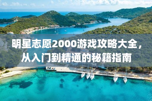 明星志愿2000游戏攻略大全，从入门到精通的秘籍指南