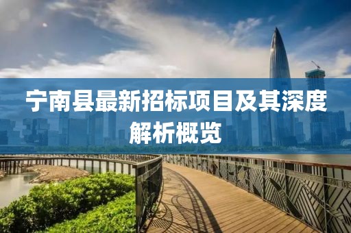 宁南县最新招标项目及其深度解析概览