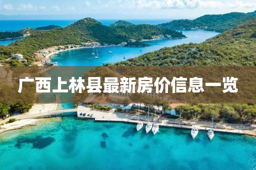 初告白 第12页