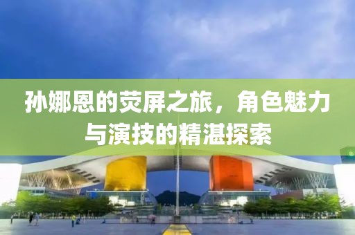 孙娜恩的荧屏之旅，角色魅力与演技的精湛探索
