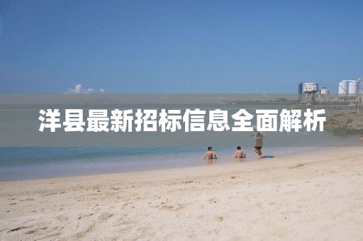 洋县最新招标信息全面解析