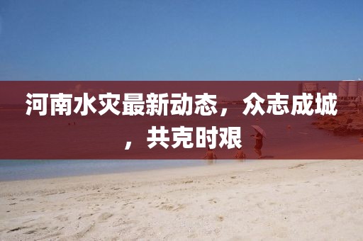 河南水灾最新动态，众志成城，共克时艰