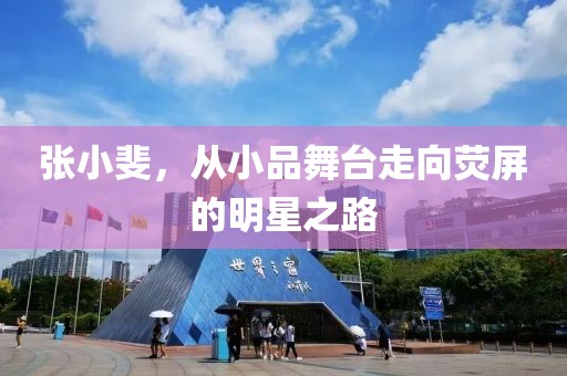 张小斐，从小品舞台走向荧屏的明星之路