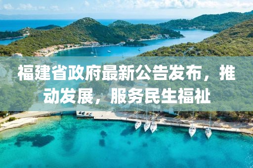 福建省政府最新公告发布，推动发展，服务民生福祉