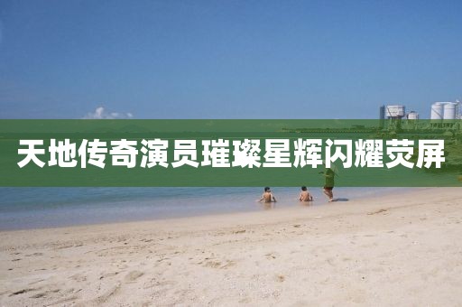 天地传奇演员璀璨星辉闪耀荧屏