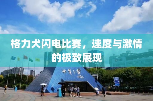 格力犬闪电比赛，速度与激情的极致展现