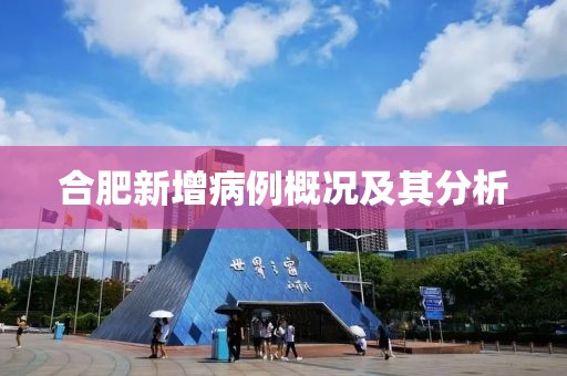 合肥新增病例概况及其分析