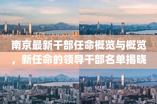 南京最新干部任命概览与概览，新任命的领导干部名单揭晓