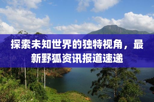 探索未知世界的独特视角，最新野狐资讯报道速递