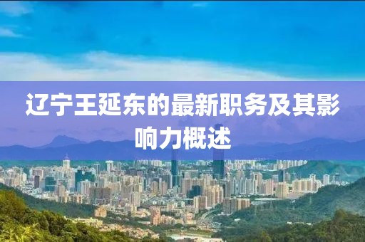 辽宁王延东的最新职务及其影响力概述