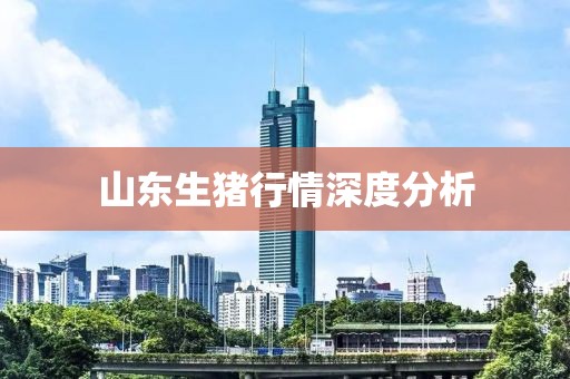山东生猪行情深度分析