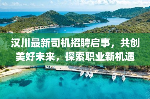 汉川最新司机招聘启事，共创美好未来，探索职业新机遇