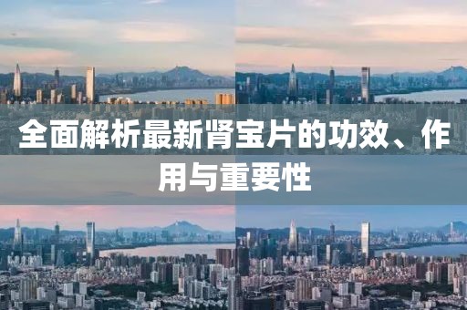 全面解析最新肾宝片的功效、作用与重要性