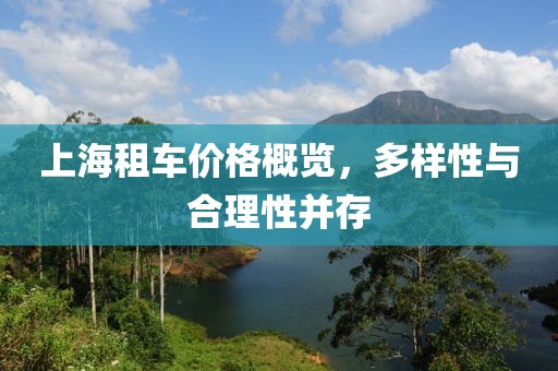 上海租车价格概览，多样性与合理性并存