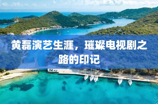 黄磊演艺生涯，璀璨电视剧之路的印记
