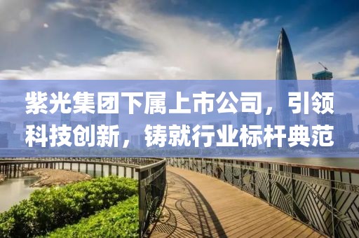 紫光集团下属上市公司，引领科技创新，铸就行业标杆典范