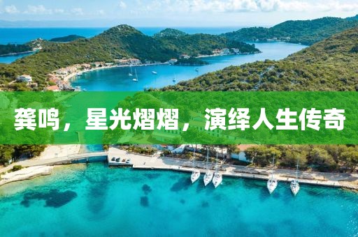 龚鸣，星光熠熠，演绎人生传奇