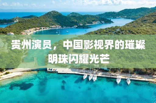 贵州演员，中国影视界的璀璨明珠闪耀光芒