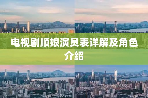 电视剧顺娘演员表详解及角色介绍
