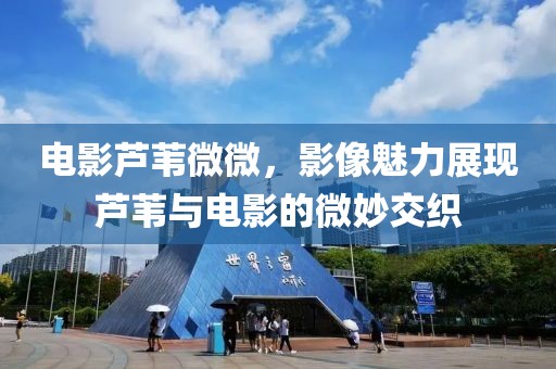 电影芦苇微微，影像魅力展现芦苇与电影的微妙交织