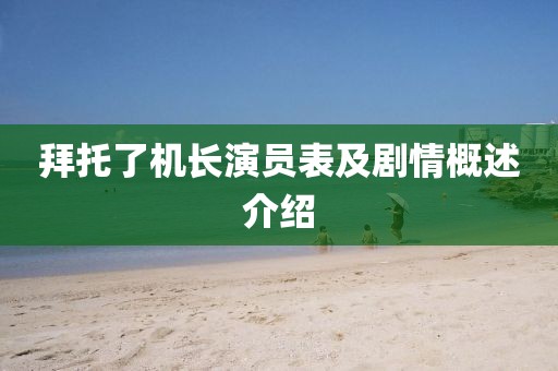 拜托了机长演员表及剧情概述介绍