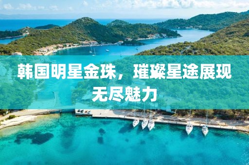 韩国明星金珠，璀璨星途展现无尽魅力