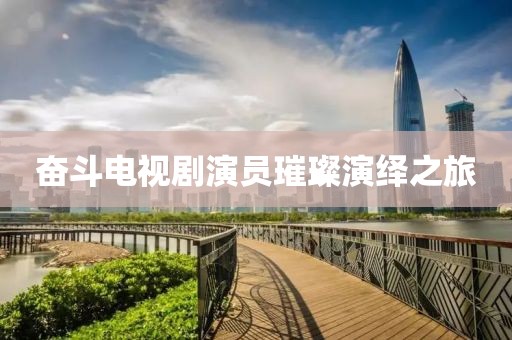奋斗电视剧演员璀璨演绎之旅