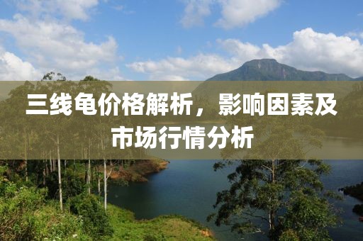 三线龟价格解析，影响因素及市场行情分析