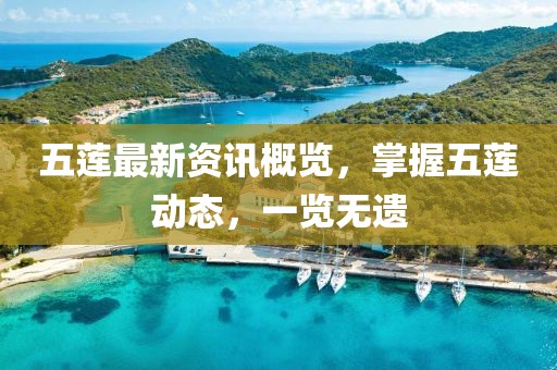 五莲最新资讯概览，掌握五莲动态，一览无遗