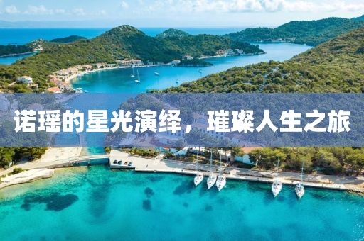 诺瑶的星光演绎，璀璨人生之旅