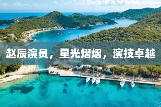 赵辰演员，星光熠熠，演技卓越