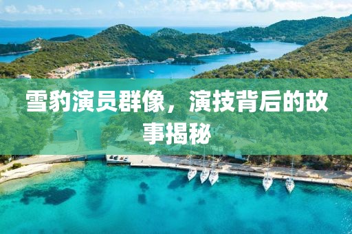 雪豹演员群像，演技背后的故事揭秘