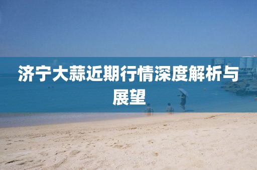 济宁大蒜近期行情深度解析与展望