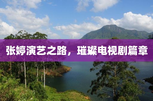 张婷演艺之路，璀璨电视剧篇章