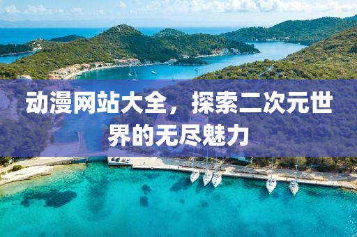 动漫网站大全，探索二次元世界的无尽魅力