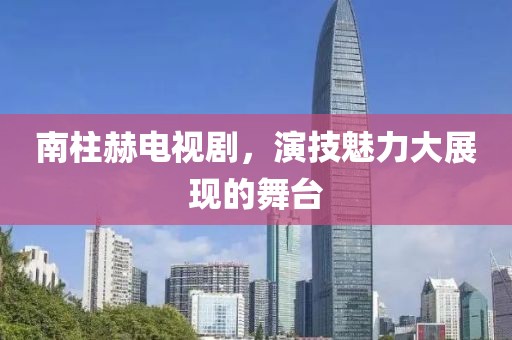 南柱赫电视剧，演技魅力大展现的舞台