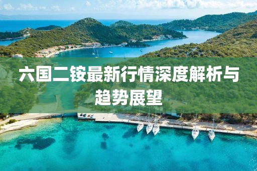 六国二铵最新行情深度解析与趋势展望