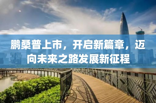 鹏桑普上市，开启新篇章，迈向未来之路发展新征程