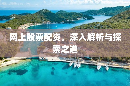 网上股票配资，深入解析与探索之道