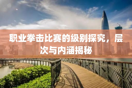 职业拳击比赛的级别探究，层次与内涵揭秘